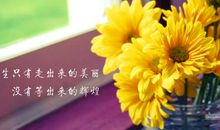 关于落叶的句子