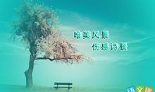 描述单相思的诗句