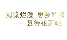 qq说说大全暗恋