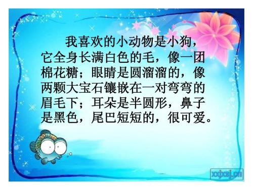 动物动作描述片段