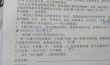 描写借景抒情的句子