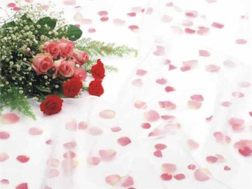 美丽的婚礼句子