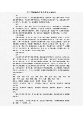 通化的美国语录