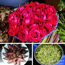 描述暴风雪的段落