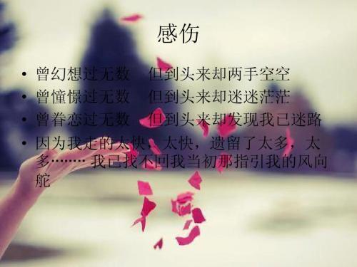 漂亮的句子描述阅读