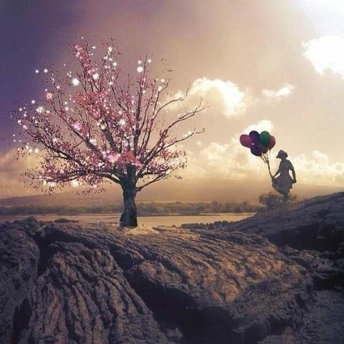 为梦想写美丽的句子