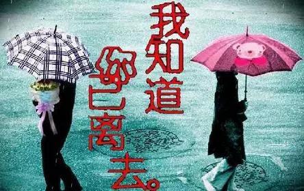 多年后的经典句子