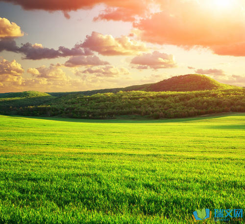 漂亮的句子描述大草原