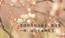 苦到令人心碎的句子