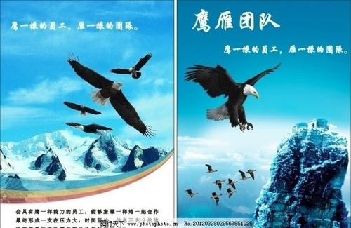 描述团队合作的词