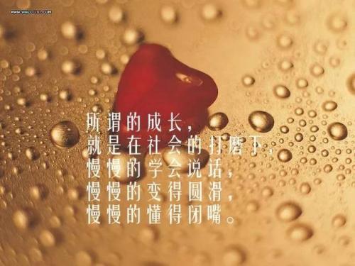 经典婚姻引述人生感悟