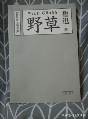 野草的好句子节录