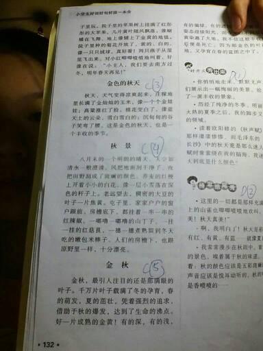 关于秋天的好单词和句子