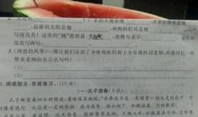 关于描写友谊的名言