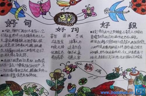 花园里的好单词和句子