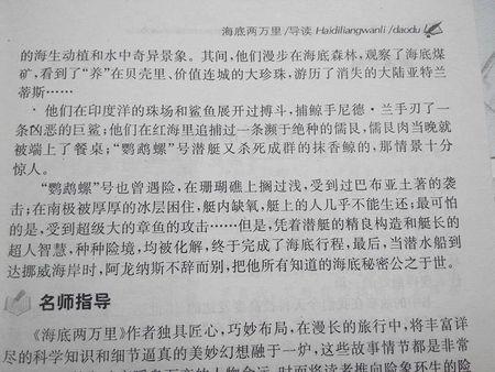 追风筝的好单词和句子