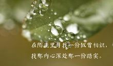 人生美好的句子