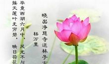 描写花的词语大全