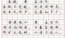 写出表达爱国情感的诗句