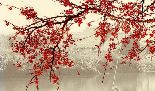 关于描写梅花的词语