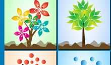 春夏秋冬四季成语