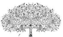 秘密花园经典句子