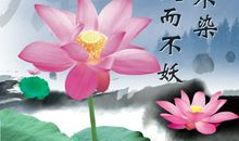 描写荷花池的句子