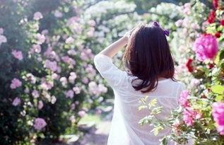 经典情人的离别讯息