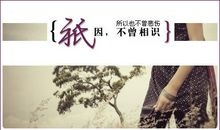 qq空间签名档伤感