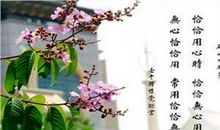 形容看破红尘的诗句