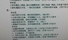 描写木的诗句