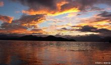 放弃的经典句子