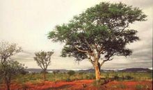 青春美文经典语录