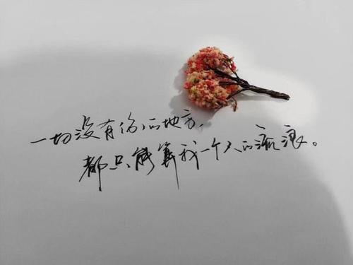 生活理解美丽的经典句子