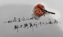 人生感悟唯美经典句子