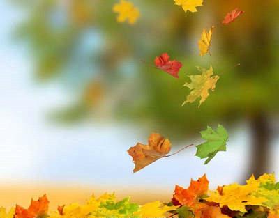 形容句子的句子