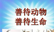 爱护动物标语