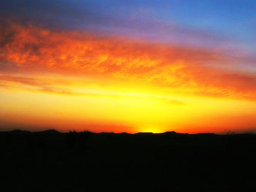 描述霍少云的句子