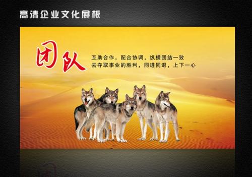 关于团队的励志名言