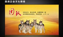 关于团队的励志名言