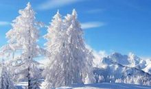 下雪的经典句子