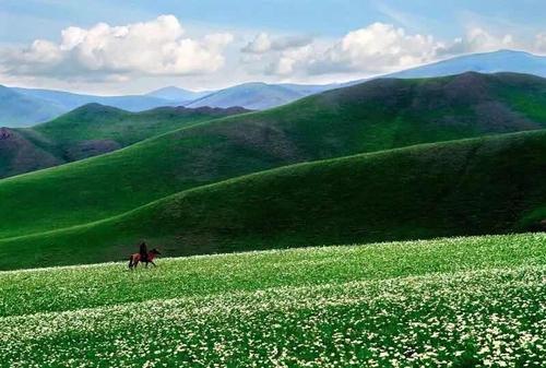 关于描述草原的诗