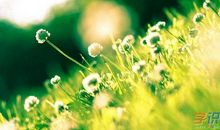 积极面对生活的句子