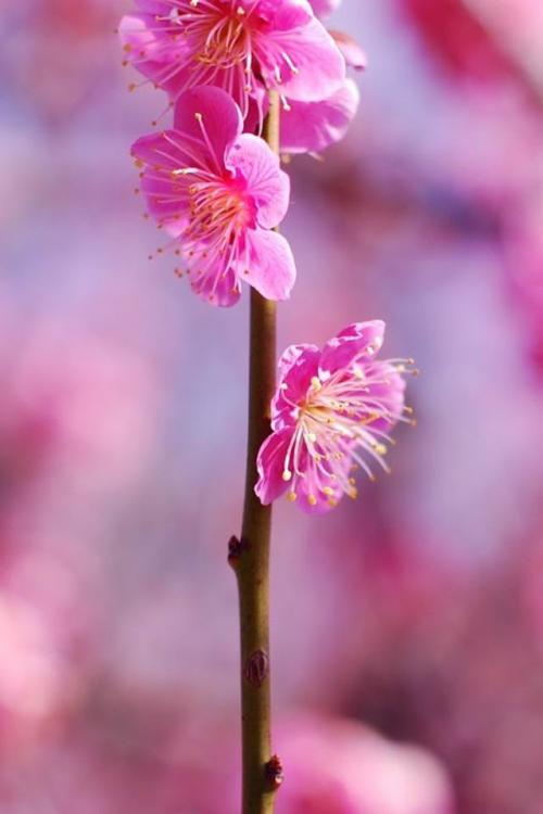 关于季节的美丽句子