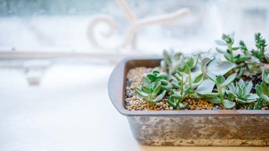 分手后告诉对方快乐的句子分手后希望对方快乐的句子1