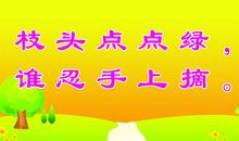 爱护学校花草树木的标语