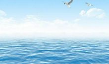 描写大海的词语大全