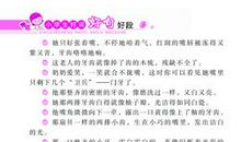 背影的好词好句