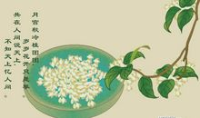 关于描写桂花的诗句