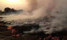 环境恶劣的句子